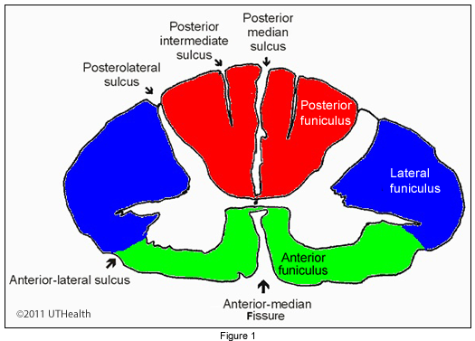 Overview