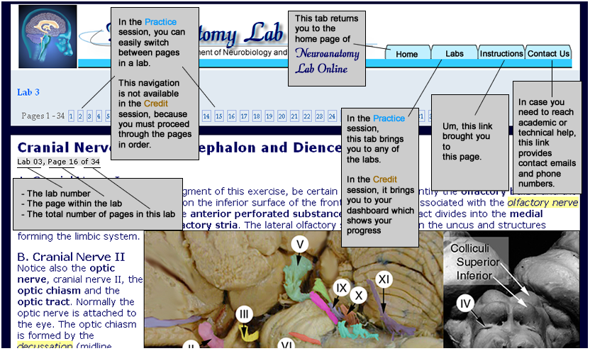 instructions for how to use the tabs